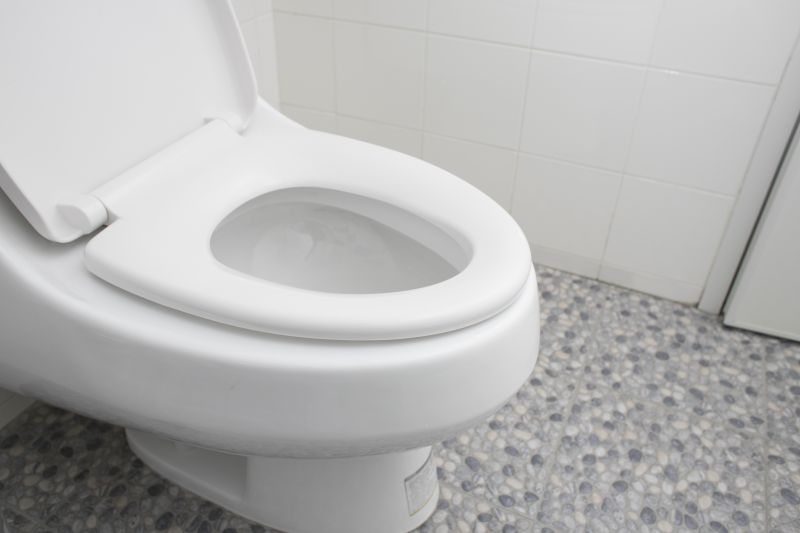 Toilet Lid Installation
