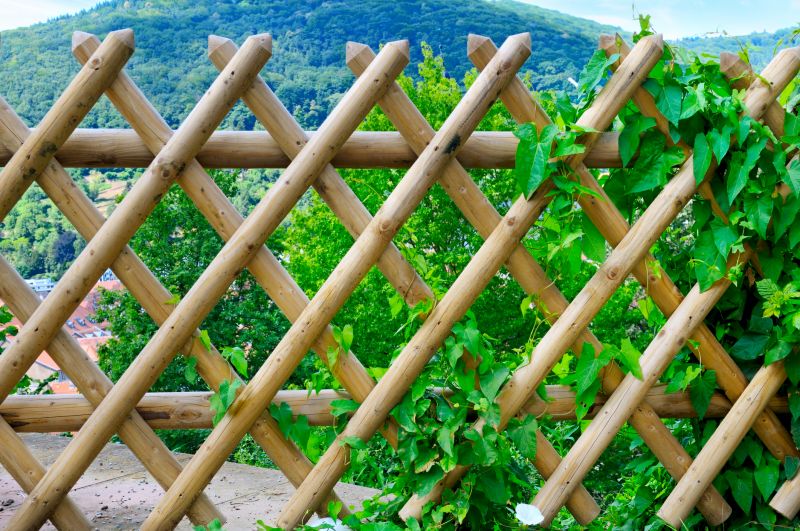 Wood Trellis Mounting