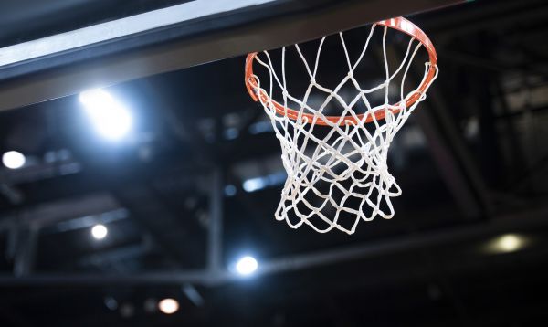 Cost of Basketball Net Installation in Delaware