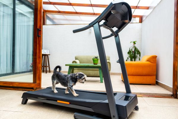 Cost of Treadmill Installation in Delaware