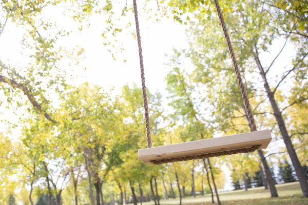 Cost of Tree Swing Installation in Delaware