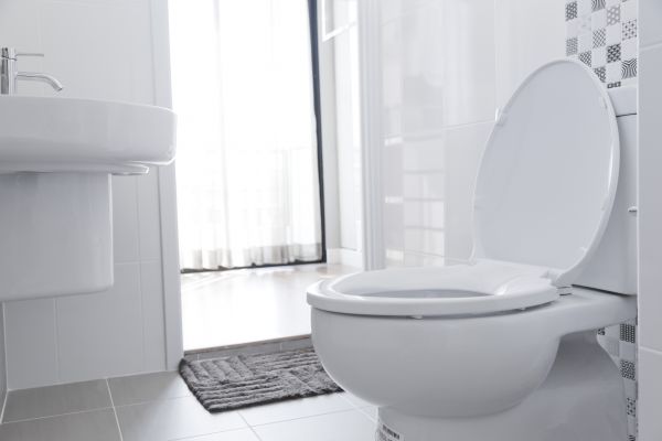 Cost of Toilet Seat Installation in Delaware