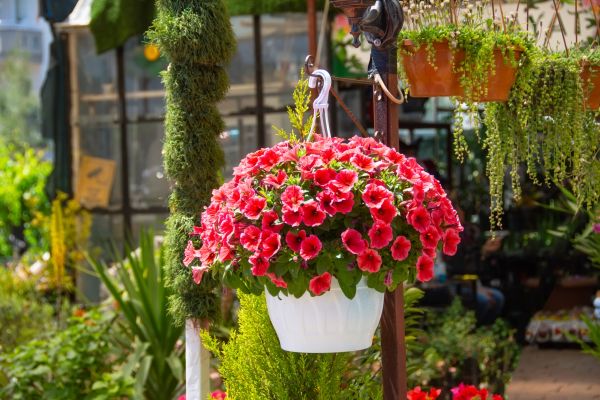 Cost of Hanging Planter Installation in Delaware