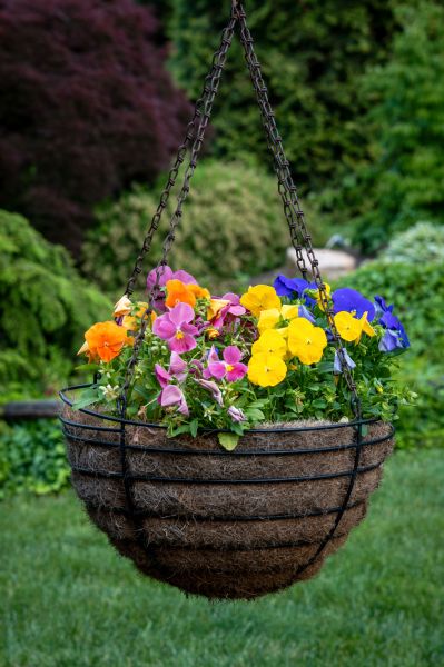 Cost of Hanging Basket Installation in Delaware