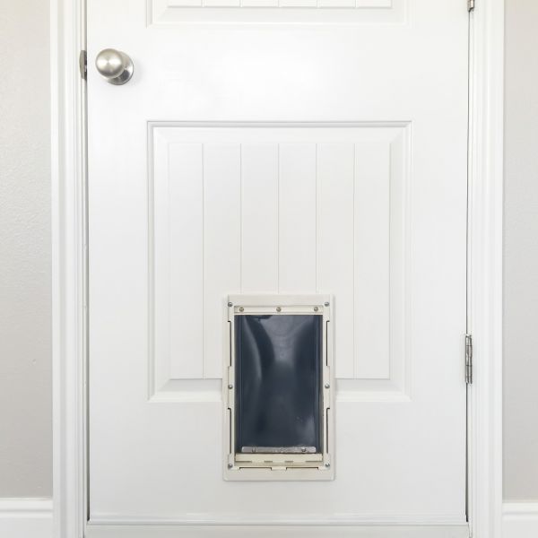 Cost of Pet Door Repair in Delaware