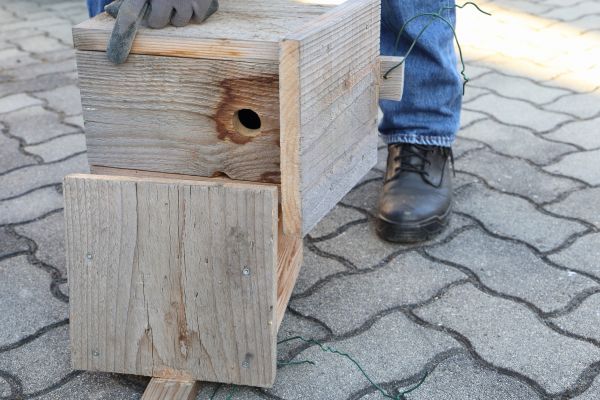 Cost of Birdhouse Mounting in Delaware
