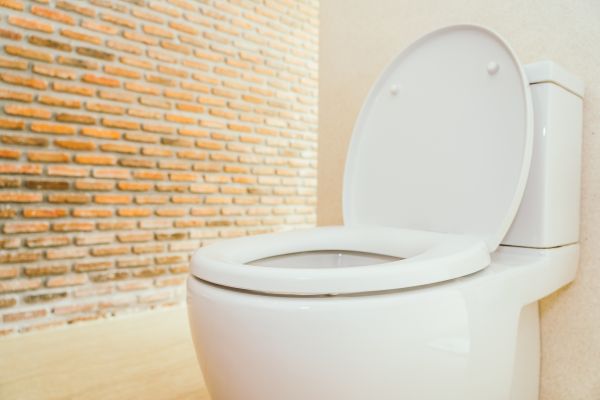 Cost of Toilet Seat Repair in Delaware