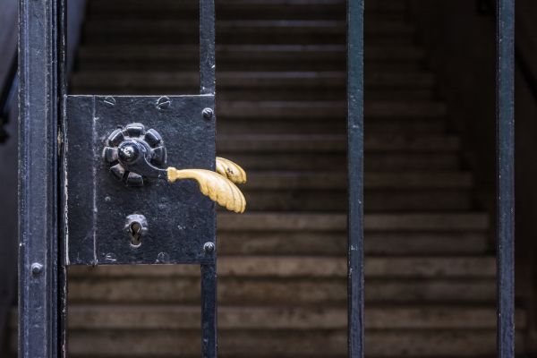 Cost of Gate Handle Replacement in Delaware